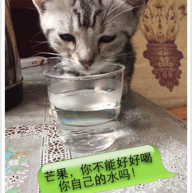 阿尔卡拉大学	埃纳雷斯堡硕士学位证